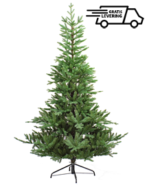 Kunstkerstboom 210 Cm Hoog Kopen? Royal Green Kerstboom PVC & PE